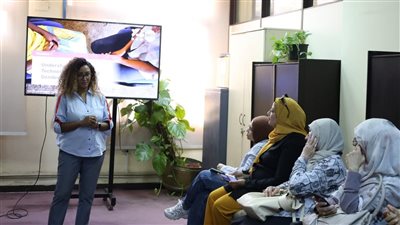 ‏مهرجان إيزيس يسلط الضوء على العنف الرقمي وأثره على النساء والفنانات