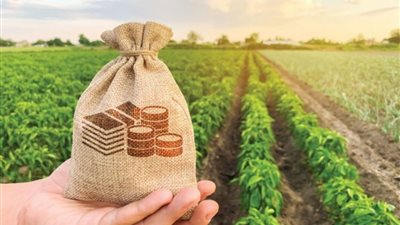 بفائدة 5%.. البنك الزراعي المصري يطلق قرض المحاصيل لدعم الفلاحين
