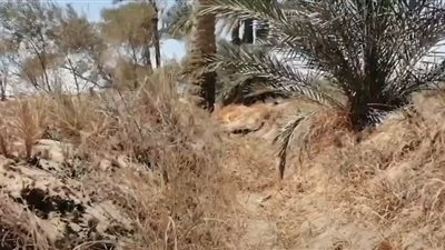 أشرف عبد الكريم : الفيوم أكثر تأثرًا بتذبذب المياه بسبب خصوصية نظام الري