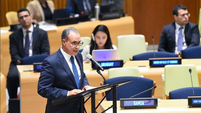 وزير الخارجية د.