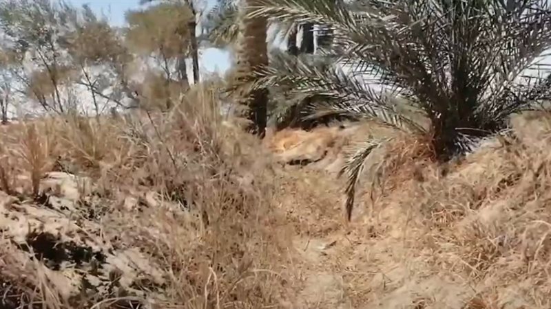 منسوب المياه