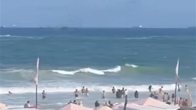 حبس طارق ميشو راقص شاطئ النخيل 3 سنوات وغرامه 200 ألف جنيه