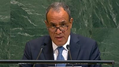 وزير الخارجية: سلوفينيا تلعب دورا مهما في تعزيز علاقات التعاون مع مصر