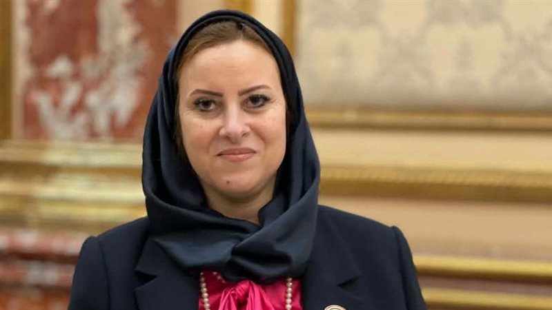 النائبة داليا سعد