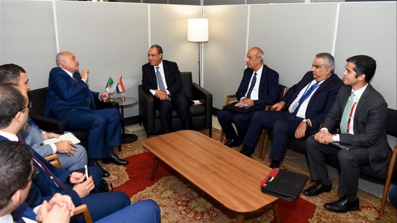 وزير الخارجية يلتقي