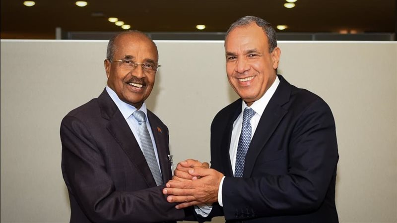 وزيرا خارجية مصر