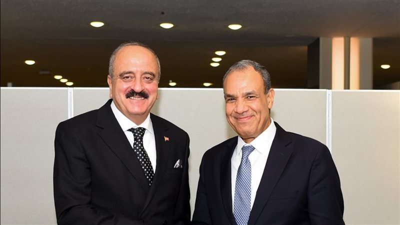 وزيرا خارجية مصر