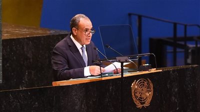 وزير الخارجية: نأمل من ترامب فرض وقف إطلاق النار على الطرف الإسرائيلي