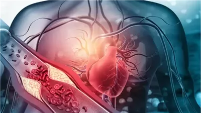 الصباح والقلق القلبي.. دراسة تكشف تأثير العادات اليومية على صحة القلب