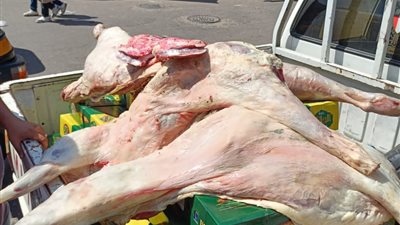 ضبط 235 كيلو لحوم وأسماك غير صالحة للاستهلاك الآدمي في البحيرة