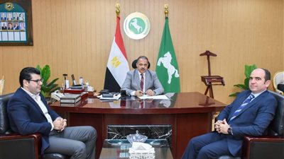 محافظ الشرقية يلتقي رئيس قطاعات كهرباء الشرقية والمدن الجديدة