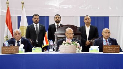 رئيس محكمة استئناف القاهرة يشيد بدعم الرئيس السيسي ويؤكد: ماضون في تحقيق العدا