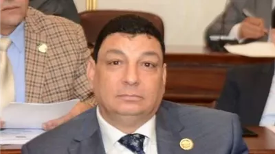 سامي نصر الله: كلمة مصر بالأمم المتحدة جسدت الثوابت المصرية تجاه فلسطين