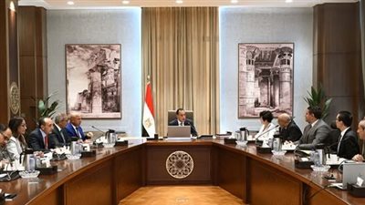 مدبولي يشيد بالشراكة بين مصر و«BYD Auto» لتعزيز التحول نحو الاقتصاد الأخضر