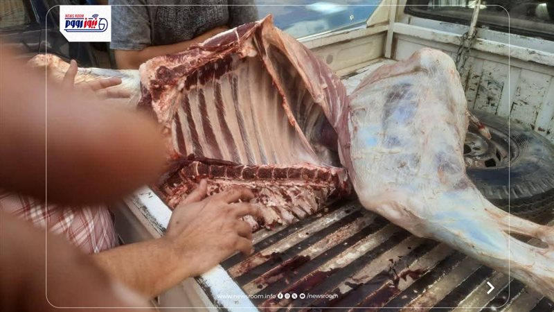 حملات تفتيشية بالمنيا