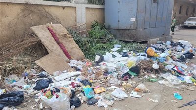 سكان شارع القاضي بطنطا بالغربية يستغيثون لإنقاذ حياتهم جراء تراكم القمامة
