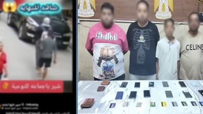 سقوط عصابة المغافلة.. فيديو متداول يقود لضبط لصوص الهواتف بعين شمس