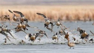 هيئة تنشيط السياحة بالشرقية: فعاليات لوضع المحافظة على خريطة السياحة عالميا