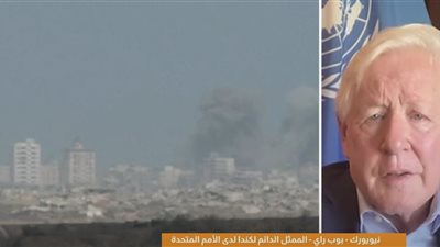 «بوب راي»: مصر تلعب دورًا محوريًا في دفع السلام والاستقرار بالمنطقة