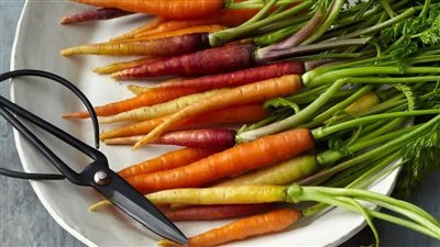 لـ «ست البيت».. كيفية تخزين الجزر بالطريقة الصحيحة؟