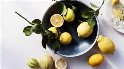 مع بداية موسمه بخطوات سهلة وبسيطة.. طريقة تخزين الليمون ليبقى طازجًا