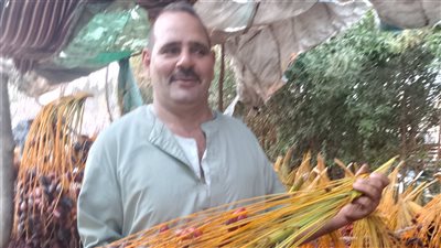 القليوبية على طريق النخيل.. مواطن يطلق مبادرة شعبية لزراعته مطالبا بدعم الدولة