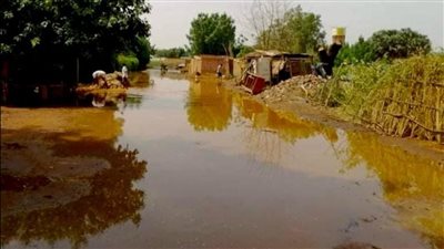 فيضان السودان.. تحذير حكومي عاجل للمواطنين على ضفاف نهر النيل (فيديو)