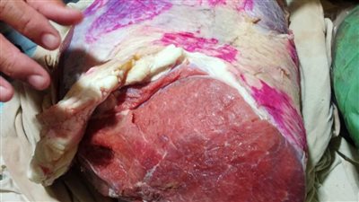 محافظ أسيوط: ضبط 565 بطاقة تموينية داخل مخبز وتحرير 206 محاضر خلال 4 أيام 