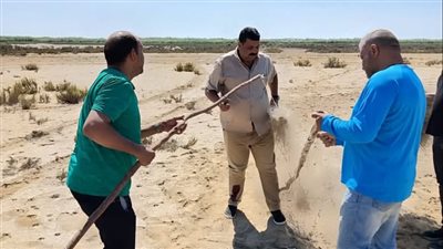 «عوض»: إزالة 6000 متر شباك مخالفة بمحمية أشتوم الجميل لحماية الطيور المهاجرة 