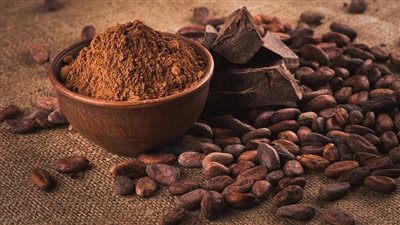  دراسة أميركية تكشف فوائد غير متوقعة للكاكاو في مكافحة الشيخوخة والالتهابات