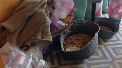 تحرير 85 محضر مخالفة في حملة لمراقبة الأغذية بالإسماعيلية