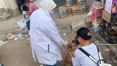 بيطري السويس يوزع 500 لقاح مجاني ويواصل حملات الوقاية ضد السعار
