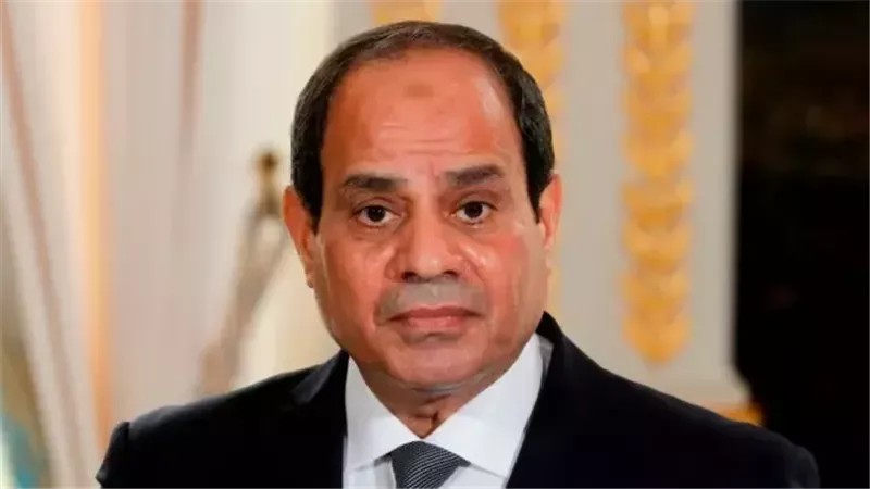 الرئيس محمد عبد الفتاح
