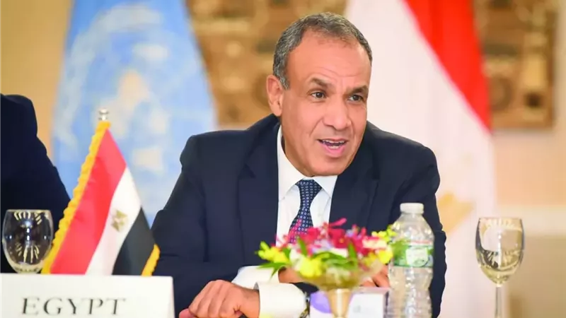 د. بدر عبد العاطي