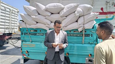 تموين الأقصر: صرف 80 مليون رغيف خبز مدعم وتحرير 709 مخالفة خلال سبتمبر