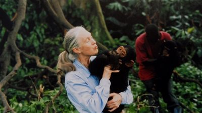 رحيل جين جودال في كاليفورنيا..وداعا لسفيرة الطبيعة والشمبانزي