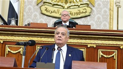 قانون الإجراءات الجنائية.. الهنيدي يرحب بتدقيق الرئيس لضمان العدالة