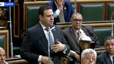 النائب عبد المنعم إمام: القوانين روح الدولة والإجراءات الجنائية قلب العدالة