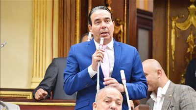 النائب أيمن أبو العلا: أرفض تأجيل تنفيذ قانون الإجراءات الجنائية بعد إصداره