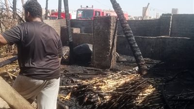 اندلاع حريق في حوشين ونفوق وإصابة 6 رؤوس ماشية بسوهاج