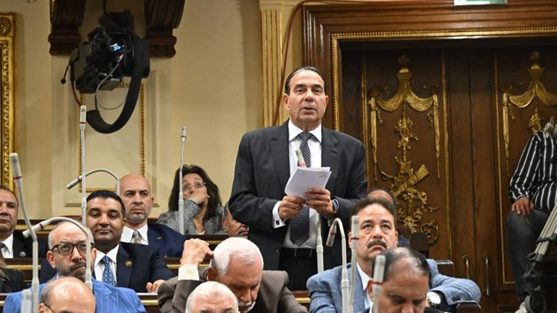 أيمن أبو العلا