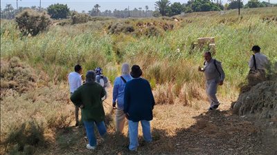 كيف تحركت وزارة السياحة والاثار لإنقاذ منطقة ميت رهينة؟ |خاص