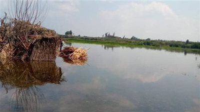 بعد غرق المنوفية.. الغربية ترفع حالة الطوارئ لمواجهة فيضان النيل