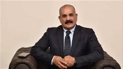 المكاوي: منصة رقمية للتجارة الإلكترونية ضرورة لمستقبل الاقتصاد المصري