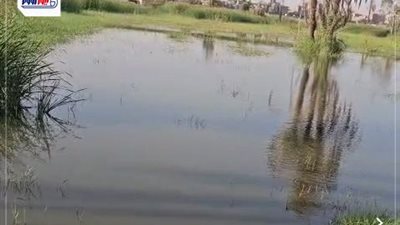 زيادة منسوب مياه النيل في جزيرة نجع مكي بمركز الوقف شمال قنا(فيديو)
