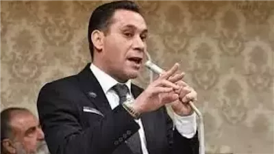  أحمد عاشور: مشروع مستقبل مصر خطوة استراتيجية نحو تحقيق الاكتفاء الذاتي وتعزيز