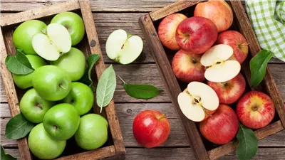 تعرف علي الفرق بين التفاح الأحمر والأخضر وفوائدهما الصحية