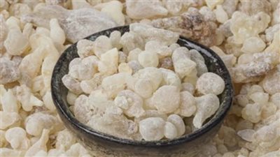 لبشرة نضرة بدون تجاعيد.. أفضل طريقة لعمل ماسك لبان الدكر 