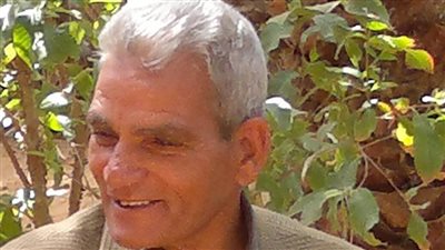 الدكتور صابر امين أستاذ الجيومورفولوجيا بجامعة بنها : السد العالي صمام أمان 