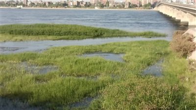 ارتفاع منسوب النيل بالمنخفض المجاور لكوبري دندرة بقرية الترامسة في قنا
